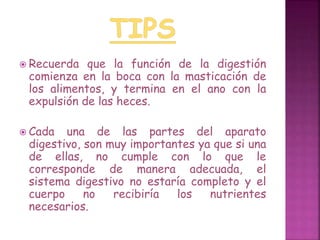  Recuerda que la función de la digestión 
comienza en la boca con la masticación de 
los alimentos, y termina en el ano con la 
expulsión de las heces. 
 Cada una de las partes del aparato 
digestivo, son muy importantes ya que si una 
de ellas, no cumple con lo que le 
corresponde de manera adecuada, el 
sistema digestivo no estaría completo y el 
cuerpo no recibiría los nutrientes 
necesarios. 
 