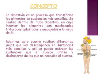 La digestión es un proceso que transforma 
los alimentos en sustancias más sencillas. Se 
realiza dentro del tubo digestivo, en cuyo 
interior los alimentos son machacados 
triturados aplastados y empujados a lo largo 
de él. 
Mientras esto ocurre reciben diferentes 
jugos que los descomponen en sustancias 
más sencillas y así se puede extraer las 
sustancias que el cuerpo utiliza y 
deshacerse de las que no necesita el cuerpo. 
 