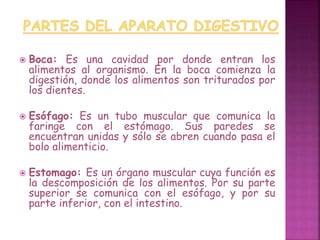  Boca: Es una cavidad por donde entran los 
alimentos al organismo. En la boca comienza la 
digestión, donde los alimentos son triturados por 
los dientes. 
 Esófago: Es un tubo muscular que comunica la 
faringe con el estómago. Sus paredes se 
encuentran unidas y sólo se abren cuando pasa el 
bolo alimenticio. 
 Estomago: Es un órgano muscular cuya función es 
la descomposición de los alimentos. Por su parte 
superior se comunica con el esófago, y por su 
parte inferior, con el intestino. 
 