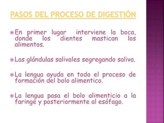 En primer lugar interviene la boca, 
donde los dientes mastican los 
alimentos. 
Las glándulas salivales segregando saliva. 
La lengua ayuda en todo el proceso de 
formación del bolo alimentico. 
La lengua pasa el bolo alimenticio a la 
faringe y posteriormente al esófago. 
 