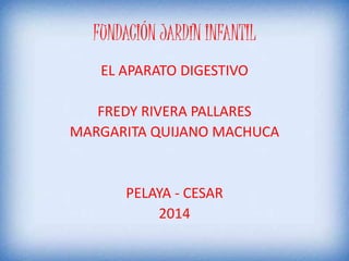 FUNDACIÓN JARDÍN INFANTIL 
EL APARATO DIGESTIVO 
FREDY RIVERA PALLARES 
MARGARITA QUIJANO MACHUCA 
PELAYA - CESAR 
2014 
 