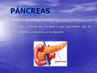 El páncreas es una glándula mixta, que segrega hormonas a la
sangre, para controlar los azúcares y jugo pancreático ,que se
vierte al intestino ,e interviene en la digestión.
 