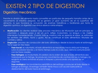 :
Permite la división del alimento hasta convertirlo en partículas de pequeño tamaño antes de su
vaciamiento al intestino delgado. Así se genera un gran aumento de en la superficie del
alimento, lo que favorece la actuación de enzimas hidrolíticas y facilitando por tanto la
digestión química. La digestión mecánica abarca varias etapas:
 Masticación: los dientes realizan este proceso mecánico de trituración que en principio es
voluntario y después pasa a ser un acto reflejo involuntario. La lengua y las mejillas
intervienen humedeciendo. Cuanto más se mastica más se aprecia el sabor, se estimulan
los sentidos del olfato, tacto y gusto. Así se constituye el bolo alimenticio: triturado de
comida y saliva.
 Deglución: proceso de conducción del bolo alimenticio desde la boca hasta el estómago.
Tiene lugar en tres fases:
› Fase bucal: es voluntaria, el bolo alimenticio es expulsado hacia atrás por la lengua,
sube el paladar blando y al mismo tiempo sube la úvula, que cierra la comunicación
con las fosas nasales.
› Fase faríngea: es involuntaria. El cerebro da la orden de que el bolo alimenticio sea
trasladado por la faringe. Se producen movimientos de contracción en la faringe y la
epiglotis se cierra evitando el paso a tráquea y provocando una apnea de un
segundo.
› Fase esofágica: los movimientos peristálticos del esófago conducen el bolo desde la
faringe al esófago. El esófago también tiene moco con acción lubricante al
deslizamiento del bolo hacia el estómago.
 