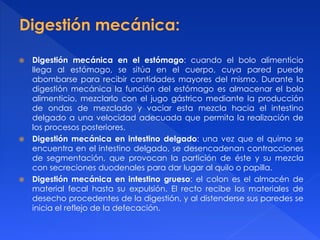  Digestión mecánica en el estómago: cuando el bolo alimenticio
llega al estómago, se sitúa en el cuerpo, cuya pared puede
abombarse para recibir cantidades mayores del mismo. Durante la
digestión mecánica la función del estómago es almacenar el bolo
alimenticio, mezclarlo con el jugo gástrico mediante la producción
de ondas de mezclado y vaciar esta mezcla hacia el intestino
delgado a una velocidad adecuada que permita la realización de
los procesos posteriores.
 Digestión mecánica en intestino delgado: una vez que el quimo se
encuentra en el intestino delgado, se desencadenan contracciones
de segmentación, que provocan la partición de éste y su mezcla
con secreciones duodenales para dar lugar al quilo o papilla.
 Digestión mecánica en intestino grueso: el colon es el almacén de
material fecal hasta su expulsión. El recto recibe los materiales de
desecho procedentes de la digestión, y al distenderse sus paredes se
inicia el reflejo de la defecación.
 