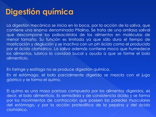 La digestión mecánica se inicia en la boca, por la acción de la saliva, que
contiene una enzima denominada Ptialina. Se trata de una amilasa salival
que descompone los polisacáridos de los alimentos en moléculas de
menor tamaño. Su función es limitada ya que sólo dura el tiempo de
masticación y deglución y se inactiva con un pH ácido como el producido
por el ácido clorhídrico. La saliva además contiene moco que humedece
los alimentos, lubrica la cavidad bucal y ayuda a que se forme el bolo
alimenticio.
En faringe y esófago no se produce digestión química.
En el estómago, el bolo parcialmente digerido se mezcla con el jugo
gástrico y se forma el quimo.
El quimo es una masa pastosa compuesta por los alimentos digeridos, es
decir, el bolo alimenticio. Es semisólida y de consistencia ácida y se forma
por los movimientos de contracción que poseen las paredes musculares
del estómago, y por la acción proteolítica de la pepsina y del ácido
clorhídrico.
 