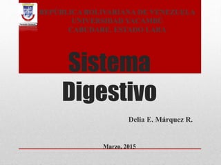 Sistema
Digestivo
Delia E. Márquez R.
Marzo, 2015
REPÚBLICA BOLIVARIANA DE VENEZUELA
UNIVERSIDAD YACAMBÚ
CABUDARE. ESTADO LARA
 
