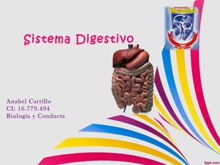 Sistema Digestivo
Anabel Carrillo
CI: 16.779.494
Biología y Conducta
 
