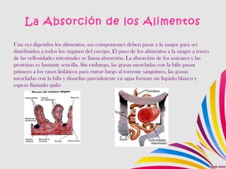 La Absorción de los Alimentos
Una vez digeridos los alimentos, sus componentes deben pasar a la sangre para ser
distribuidos a todos los órganos del cuerpo. El paso de los alimentos a la sangre a través
de las vellosidades intestinales se llama absorción. La absorción de los azúcares y las
proteínas es bastante sencilla. Sin embargo, las grasas mezcladas con la bilis pasan
primero a los vasos linfáticos para entrar luego al torrente sanguíneo, las grasas
mezcladas con la bilis y disueltas parcialmente en agua forman un líquido blanco y
espeso llamado quilo
 