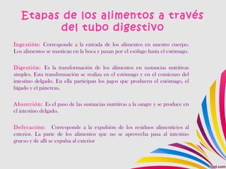 Etapas de los alimentos a través
del tubo digestivo
Ingestión: Corresponde a la entrada de los alimentos en nuestro cuerpo.
Los alimentos se mastican en la boca y pasan por el esófago hasta el estómago.
Digestión: Es la transformación de los alimentos en sustancias nutritivas
simples. Esta transformación se realiza en el estómago y en el comienzo del
intestino delgado. En ella participan los jugos que producen el estómago, el
hígado y el páncreas.
Absorción: Es el paso de las sustancias nutritivas a la sangre y se produce en
el intestino delgado.
Defecación: Corresponde a la expulsión de los residuos alimenticios al
exterior. La parte de los alimentos que no se aprovecha pasa al intestino
grueso y de allí se expulsa al exterior
 