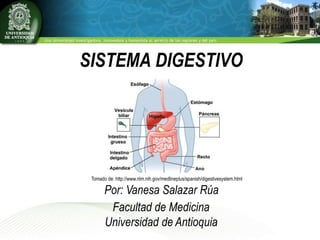 SISTEMA DIGESTIVO
Facultad de Medicina
Universidad de Antioquia
Por: Vanesa Salazar Rúa
Tomado de: http://www.nlm.nih.gov/medlineplus/spanish/digestivesystem.html
 
