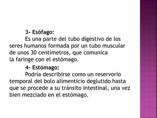 3- Esófago:
Es una parte del tubo digestivo de los
seres humanos formada por un tubo muscular
de unos 30 centímetros, que comunica
la faringe con el estómago.
4- Estómago:
Podría describirse como un reservorio
temporal del bolo alimenticio deglutido hasta
que se procede a su tránsito intestinal, una vez
bien mezclado en el estómago.
 
