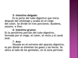 5- Intestino delgado:
Es la parte del tubo digestivo que inicia
después del estómago y acaba en el ciego
del colon. Se divide en tres porciones: duodeno,
yeyuno, e ilion.
6- Intestino grueso:
Es la penúltima porción del tubo digestivo,
formada por el ciego, el colon, el recto y el canal
anal.
7- Ano:
Situada en el extremo del aparato digestivo,
es por dónde se eliminan los gases y las heces. Se
ubica al lado de los genitales, en la zona perineal.
 