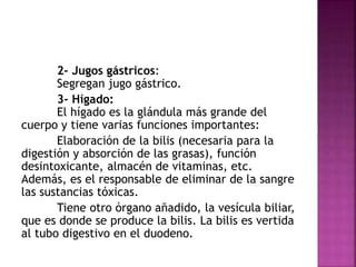 2- Jugos gástricos:
Segregan jugo gástrico.
3- Hígado:
El hígado es la glándula más grande del
cuerpo y tiene varias funciones importantes:
Elaboración de la bilis (necesaria para la
digestión y absorción de las grasas), función
desintoxicante, almacén de vitaminas, etc.
Además, es el responsable de eliminar de la sangre
las sustancias tóxicas.
Tiene otro órgano añadido, la vesícula biliar,
que es donde se produce la bilis. La bilis es vertida
al tubo digestivo en el duodeno.
 