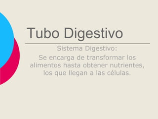 Tubo Digestivo
Sistema Digestivo:
Se encarga de transformar los
alimentos hasta obtener nutrientes,
los que llegan a las células.
 