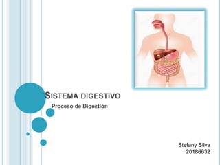 SISTEMA DIGESTIVO
Proceso de Digestión
Stefany Silva
20186632
 