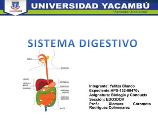 Integrante: Yelitza Blanco
Expediente:HPS-152-00476v
Asignatura: Biología y Conducta
Sección: EDO3DOV
Prof.: Xiomara Coromoto
Rodríguez Colmenarez
 