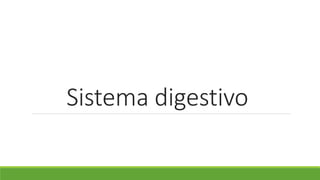 Sistema digestivo
 
