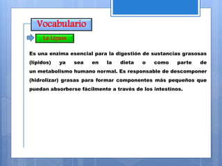Vocabulario
Es una enzima esencial para la digestión de sustancias grasosas
(lípidos) ya sea en la dieta o como parte de
un metabolismo humano normal. Es responsable de descomponer
(hidrolizar) grasas para formar componentes más pequeños que
puedan absorberse fácilmente a través de los intestinos.
La Lipasa
 