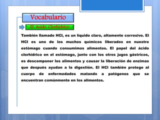 Vocabulario
También llamado HCl, es un líquido claro, altamente corrosivo. El
HCl es uno de los muchos químicos liberados en nuestro
estómago cuando consumimos alimentos. El papel del ácido
clorhídrico en el estómago, junto con los otros jugos gástricos,
es descomponer los alimentos y causar la liberación de enzimas
que después ayudan a la digestión. El HCl también protege al
cuerpo de enfermedades matando a patógenos que se
encuentran comúnmente en los alimentos.
El Ácido Clorhídrico
 