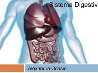 Sistema Digestivo
Alexandra Ocasio
 