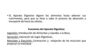 • EL Aparato Digestivo digiere los alimentos hasta obtener sus
nutrimentos, para que se lleve a cabo el proceso de absorción y
transporte de hacia las células.
Funciones del Aparato Digestivo:
Ingestión: Introducción de Alimentos y Líquidos a la Boca.
Secreción: Liberación de Jugos Digestivos.
Mezclado y Expulsión: Contraccion y relajación de los músculos que
propician la motilidad.
 