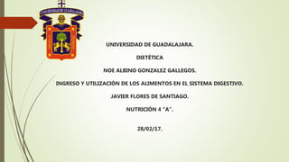 UNIVERSIDAD DE GUADALAJARA.
DIETÉTICA
NOE ALBINO GONZALEZ GALLEGOS.
INGRESO Y UTILIZACIÓN DE LOS ALIMENTOS EN EL SISTEMA DIGESTIVO.
JAVIER FLORES DE SANTIAGO.
NUTRICIÓN 4 “A”.
28/02/17.
 