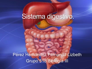 Sistema digestivo.
Pérez Hernández Fernanda Lizbeth
Grupo 518 Biología III
 