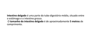 Intestino delgado é uma parte do tubo digestório médio, situado entre
o estômago e o intestino grosso.
O tamanho do intestino delgado é de aproximadamente 5 metros de
comprimento.
 
