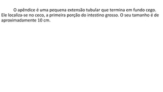 O apêndice é uma pequena extensão tubular que termina em fundo cego.
Ele localiza-se no ceco, a primeira porção do intestino grosso. O seu tamanho é de
aproximadamente 10 cm.
 