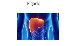 Fígado
 