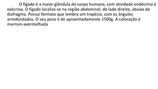 O fígado é a maior glândula do corpo humano, com atividade endócrina e
exócrina. O fígado localiza-se na região abdominal, do lado direito, abaixo do
diafragma. Possui formato que lembra um trapézio, com os ângulos
arredondados. O seu peso é de aproximadamente 1500g. A coloração é
marrom-avermelhada
 