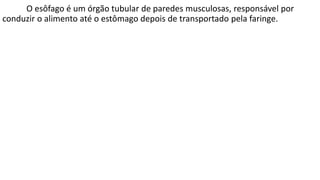 O esôfago é um órgão tubular de paredes musculosas, responsável por
conduzir o alimento até o estômago depois de transportado pela faringe.
 