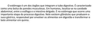 O estômago é um dos órgãos que integram o tubo digestivo. É caracterizado
como uma bolsa de paredes musculosas. Em humanos, localiza-se na cavidade
abdominal, entre o esôfago e o intestino delgado. É no estômago que ocorre uma
importante etapa do processo digestivo. Nele existem glândulas que produzem o
suco gástrico, responsável por envolver os alimentos em digestão e transformar o
bolo alimentar em quimo.
 