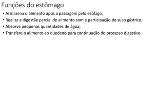 Funções do estômago
• Armazena o alimento após a passagem pelo esôfago;
• Realiza a digestão parcial do alimento com a participação do suco gástrico;
• Absorve pequenas quantidades de água;
• Transfere o alimento ao duodeno para continuação do processo digestivo.
 