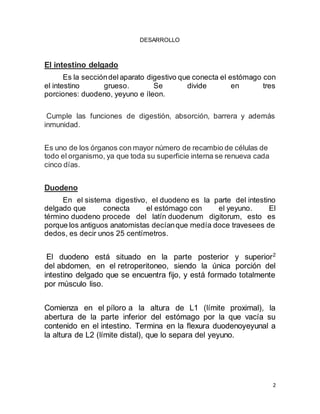 2
DESARROLLO
El intestino delgado
Es la seccióndel aparato digestivo que conecta el estómago con
el intestino grueso. Se divide en tres
porciones: duodeno, yeyuno e íleon.
Cumple las funciones de digestión, absorción, barrera y además
inmunidad.
Es uno de los órganos con mayor número de recambio de células de
todo el organismo, ya que toda su superficie interna se renueva cada
cinco días.
Duodeno
En el sistema digestivo, el duodeno es la parte del intestino
delgado que conecta el estómago con el yeyuno. El
término duodeno procede del latín duodenum digitorum, esto es
porque los antiguos anatomistas decíanque medía doce travesees de
dedos, es decir unos 25 centímetros.
El duodeno está situado en la parte posterior y superior2
del abdomen, en el retroperitoneo, siendo la única porción del
intestino delgado que se encuentra fijo, y está formado totalmente
por músculo liso.
Comienza en el píloro a la altura de L1 (límite proximal), la
abertura de la parte inferior del estómago por la que vacía su
contenido en el intestino. Termina en la flexura duodenoyeyunal a
la altura de L2 (límite distal), que lo separa del yeyuno.
 