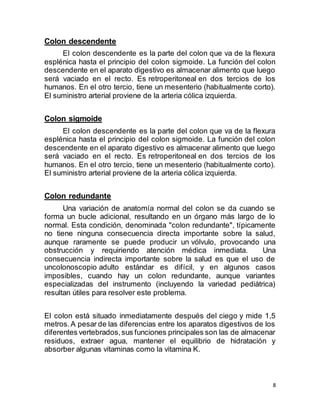 8
Colon descendente
El colon descendente es la parte del colon que va de la flexura
esplénica hasta el principio del colon sigmoide. La función del colon
descendente en el aparato digestivo es almacenar alimento que luego
será vaciado en el recto. Es retroperitoneal en dos tercios de los
humanos. En el otro tercio, tiene un mesenterio (habitualmente corto).
El suministro arterial proviene de la arteria cólica izquierda.
Colon sigmoide
El colon descendente es la parte del colon que va de la flexura
esplénica hasta el principio del colon sigmoide. La función del colon
descendente en el aparato digestivo es almacenar alimento que luego
será vaciado en el recto. Es retroperitoneal en dos tercios de los
humanos. En el otro tercio, tiene un mesenterio (habitualmente corto).
El suministro arterial proviene de la arteria cólica izquierda.
Colon redundante
Una variación de anatomía normal del colon se da cuando se
forma un bucle adicional, resultando en un órgano más largo de lo
normal. Esta condición, denominada "colon redundante", típicamente
no tiene ninguna consecuencia directa importante sobre la salud,
aunque raramente se puede producir un vólvulo, provocando una
obstrucción y requiriendo atención médica inmediata. Una
consecuencia indirecta importante sobre la salud es que el uso de
uncolonoscopio adulto estándar es difícil, y en algunos casos
imposibles, cuando hay un colon redundante, aunque variantes
especializadas del instrumento (incluyendo la variedad pediátrica)
resultan útiles para resolver este problema.
El colon está situado inmediatamente después del ciego y mide 1,5
metros.A pesar de las diferencias entre los aparatos digestivos de los
diferentes vertebrados,sus funciones principales son las de almacenar
residuos, extraer agua, mantener el equilibrio de hidratación y
absorber algunas vitaminas como la vitamina K.
 