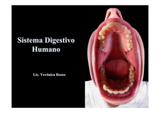 Sistema Digestivo
Sistema Digestivo
Humano
Humano
Lic. Ver
Lic. Veró
ónica Rosso
nica Rosso
 