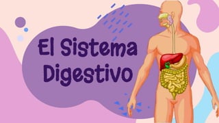 El Sistema
Digestivo
 
