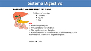Nutrição e Sistema Digestivo
DIGESTÃO NO INTESTINO DELGADO
Dividido em 3 porções
 Duodeno
 Jejuno
 Íleo
Bile
o Produzido pelo Fígado
o Armazenada na vesícula biliar
o Não contém enzimas digestivas
o Emulsifica gorduras: transforma gotas lipídicas em gotículas
microscópicas, favorecendo a ação das lipases.
Quimo  Quilo
Sistema Digestivo
 