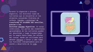 Durante la digestión o proceso
digestivo, los distintos tipos de
nutrientes que se encuentran en los
alimentos consumidos (hidratos de
carbono, lípidos y proteínas) se
transforman en unidades más sencillas,
gracias a las
distintas enzimas digestivas. En estas
condiciones, las partes más elementales
aprovechables de los nutrientes pueden
ser absorbidas y luego transportadas
por la sangre hasta todas las células
del cuerpo, donde son utilizadas para
obtener energía y llevar a cabo todas
las funciones indispensables para el
sostén y desarrollo de la vida.
Place your screenshot here
3
 