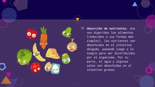 ◍ Absorción de nutrientes. Una
vez digeridos los alimentos
(reducidos a sus formas más
simples), los nutrientes son
absorbidos en el intestino
delgado, pasando luego a la
sangre para ser distribuidos
por el organismo. Por su
parte, el agua y algunas
sales son absorbidas en el
intestino grueso.
6
 