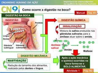CN
ORGANISMO HUMANO EM AÇÃO Importânciadosistemadigestivo
noequilíbriodoorganismohumano
Como ocorre a digestão na boca?
Manual Pág. 81
INGESTÃO
DIGESTÃO MECÂNICA
DIGESTÃO QUÍMICA
MASTIGAÇÃO
Redução do tamanho dos alimentos,
realizada pelos dentes e língua.
Mistura da saliva produzida nas
glândulas salivares para a
amílase atuar sobre o amido.
Maltose
Amido
Amilase
salivar
Após a ação mecânica
e química ocorridas na
boca forma-se o
BOLO ALIMENTAR.
Língua
Dentes
Glândula
sublingual
Glândula
submaxilar
Parótida
DIGESTÃO NA BOCA
Atividade 1 Pág. 82
 