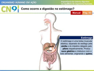 CN
ORGANISMO HUMANO EM AÇÃO Importânciadosistemadigestivo
noequilíbriodoorganismohumano
O estômago é uma bolsa muscular
elástica, separado do esófago pela
cárdia e do intestino delgado pelo
piloro respetivamente. Produz
suco gástrico e mistura-o com o
bolo alimentar, originando o quimo.
Estômago
Cárdia
Piloro
Como ocorre a digestão no estômago?
Manual Pág. 83
 