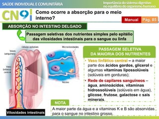 CN
SAÚDEINDIVIDUAL ECOMUNITÁRIA Importânciadosistemadigestivo
noequilíbriodoorganismohumano
Como ocorre a absorção para o meio
interno? Manual Pág. 85
ABSORÇÃO NO INTESTINO DELGADO
Passagem seletivas dos nutrientes simples pelo epitélio
das vilosidades intestinais para o sangue ou linfa
• Vaso linfático central – a maior
parte dos ácidos gordos, glicerol e
algumas vitaminas lipossolúveis
(solúveis em gorduras);
• Rede de capilares sanguíneos –
água, aminoácidos, vitaminas
hidrossolúveis (solúveis em água),
glicose, frutose, galactose e sais
minerais.
Vilosidades intestinais
PASSAGEM SELETIVA
DA MAIORIA DOS NUTRIENTES
NOTA
A maior parte da água e a vitaminas K e B são absorvidas
para o sangue no intestino grosso.
 