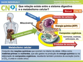 CN
SAÚDEINDIVIDUAL E
COMUNITÁRIA
Importânciadosistemadigestivo
noequilíbriodoorganismohumano
Que relação existe entre o sistema digestivo
e o metabolismo celular?
Manual Pág. 89
Energia química (ATP)
Dióxido de carbono
Mitocôndrias
Compostos orgânicos
Produtos de excreção
hormonas, enzimas,
anticorpos, etc.
Conjunto das reações químicas que ocorrem no interior da célula. Utiliza como
matérias-primas os nutrientes, que são gastos na produção de energia química ou na
elaboração de compostos orgânicos, resultando também produtos de excreção (como
o CO2, a ureia e o ácido úrico)
 