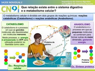 CN
SAÚDEINDIVIDUAL E
COMUNITÁRIA
Importânciadosistemadigestivo
noequilíbriodoorganismohumano
Que relação existe entre o sistema digestivo
e o metabolismo celular?
O metabolismo celular é dividido em dois grupos de reações químicas: reações
catabólicas (Catabolismo) e reações anabólicas (Anabolismo).
CATABOLISMO
O catabolismo é o processo
em que as grandes
moléculas são desdobradas
em moléculas menores.
Neste processo, a energia
é armazenada no ATP para
utilização posterior ou
libertada como calor.
ANABOLISMO
O anabolismo é o
processo em que as
pequenas moléculas
se combinam para
formar outras de maior
dimensão, gastando
energia.
Ex.: Respiração
celular
Ex. Síntese proteica
Proteína da
galinha
Proteína
humana
 