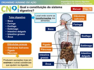 CN
ORGANISMO HUMANO EM AÇÃO Importânciadosistemadigestivo
noequilíbriodoorganismohumano
Qual a constituição do sistema
digestivo?
Manual Pág. 79
A
B
C
D
E
F
G
I
J
K
Tubo digestivo
• Boca
• Faringe
• Esófago
• Estômago
• Intestino delgado
• Intestino grosso
• Ânus
Glândulas anexas
• Glândulas Salivares
• Fígado
• Pâncreas
Boca
Faringe
Esófago
Estômago
Intestino
delgado
Intestino
grosso
Ânus
Glândulas
salivares
Fígado
Pâncreas
Local onde ocorre as
transformações dos
alimentos.
Produzem secreções ricas em
enzimas e outras substâncias
que ajudam na digestão.
 