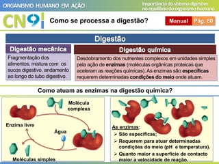 CN
ORGANISMO HUMANO EM AÇÃO Importânciadosistemadigestivo
noequilíbriodoorganismohumano
Como se processa a digestão? Manual Pág. 80
Fragmentação dos
alimentos, mistura com os
sucos digestivo, andamento
ao longo do tubo digestivo.
Desdobramento dos nutrientes complexos em unidades simples
pela ação de enzimas (moléculas orgânicas proteicas que
aceleram as reações químicas). As enzimas são específicas
requerem determinadas condições do meio onde atuam.
Enzima livre
Molécula
complexa
Água
Moléculas simples
Como atuam as enzimas na digestão química?
As enzimas:
➢ São específicas;
➢ Requerem para atuar determinadas
condições do meio (pH e temperatura).
➢ Quanto maior a superfície de contacto
maior a velocidade de reação.
 