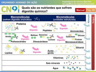 CN
ORGANISMO HUMANO EM AÇÃO Importânciadosistemadigestivo
noequilíbriodoorganismohumano
Quais são os nutrientes que sofrem
digestão química? Manual Pág. 80
Macromoléculas Micromoléculas
(sofrem digestão enzimática ) (unidades estruturais)
Péptidos
Proteína
Aminoácidos
Dissacárideos
Maltose
Lactose
Sacarose Glicose
Frutose
Galactose
Digestão
Amido
Monossacárideos
Digestão
Digestão Digestão
Ácido
gordo
Lípidos Digestão
Glicerol
Vitaminas
Sais minerais
Água
Absorção
Sangue
Polissacárideo
 