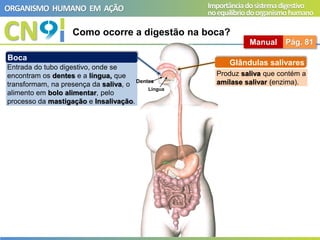 CN
ORGANISMO HUMANO EM AÇÃO Importânciadosistemadigestivo
noequilíbriodoorganismohumano
Como ocorre a digestão na boca?
Manual Pág. 81
Entrada do tubo digestivo, onde se
encontram os dentes e a língua, que
transformam, na presença da saliva, o
alimento em bolo alimentar, pelo
processo da mastigação e Insalivação.
Boca
Glândulas salivares
Produz saliva que contém a
amílase salivar (enzima).
Dentes
Língua
 